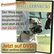 Hundeschule welpen